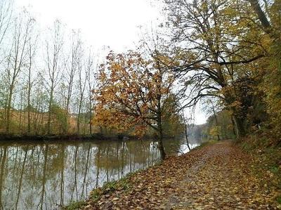 Manoir - 3 300 m² - 65 pièces