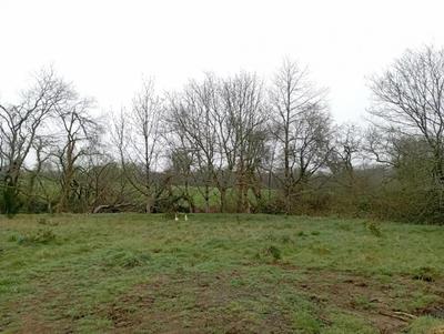 Terrain constructible - 1 742 m²