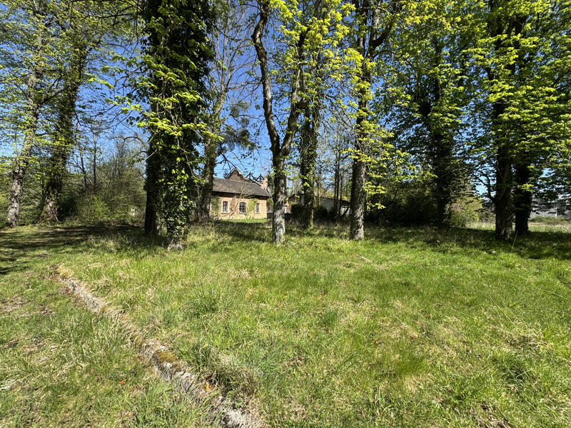 Terrain - 703 m²