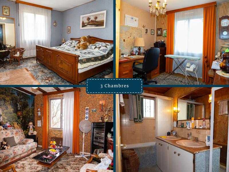 Viager - Maison ancienne - 90 m² - 4 pièces