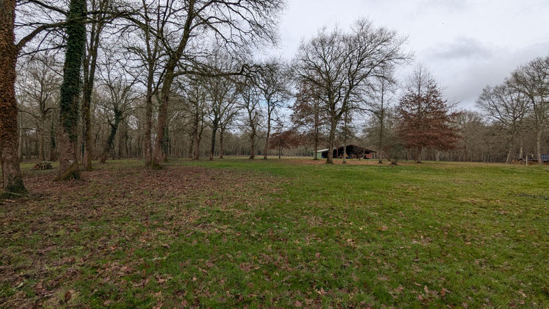 Maison - 373 m² - 12 pièces