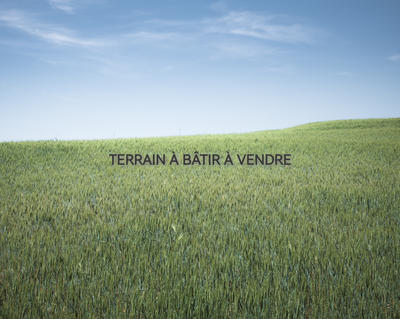 Terrain - 393 m²
