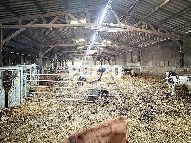 Maison - 122 m² - 4 pièces