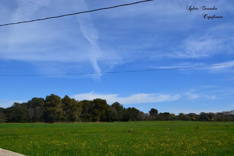 Mas - 455 m² - 15 pièces