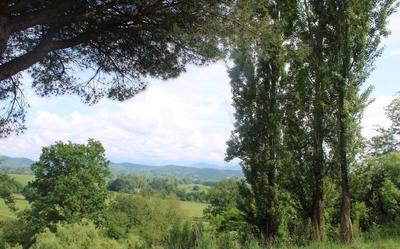 Demeure - 330 m² - 14 pièces