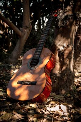 Diner concert avec Stéphane Raux