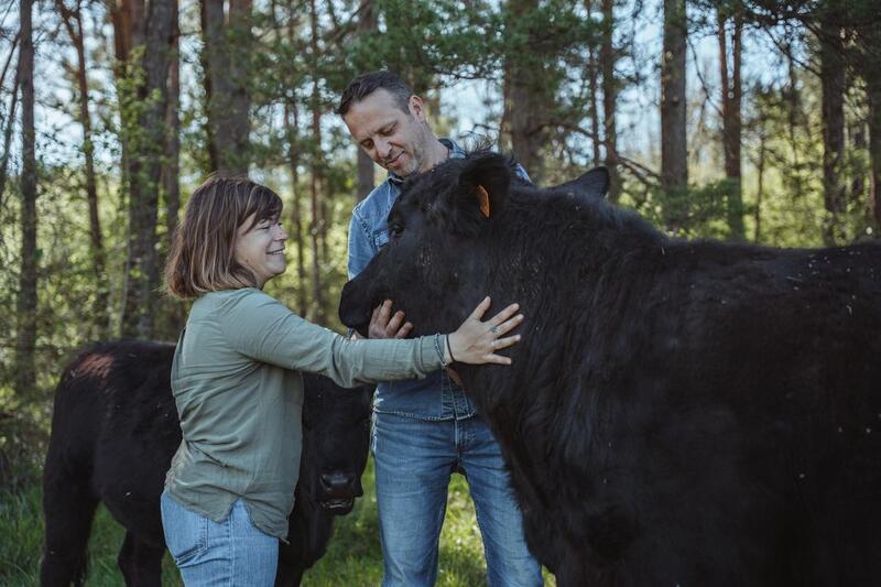 Printemps à la ferme