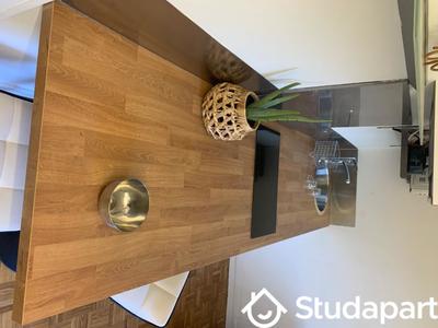 Appartement - 16 m² - 1 pièce