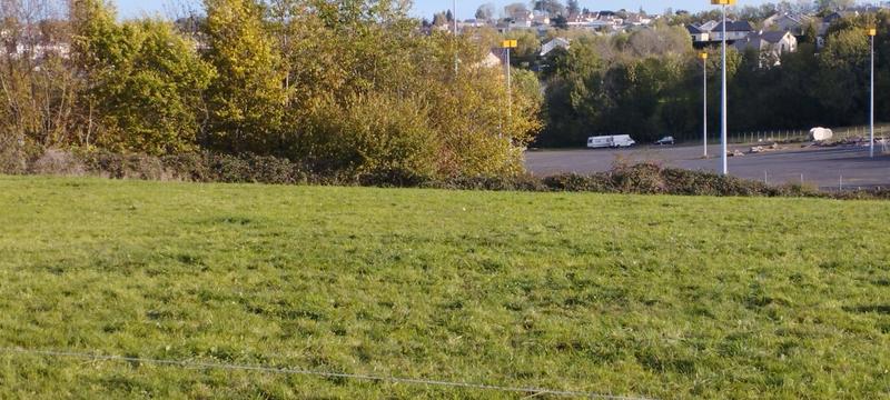 Terrain - 10 000 m²