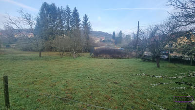 Terrain - 1 658 m²