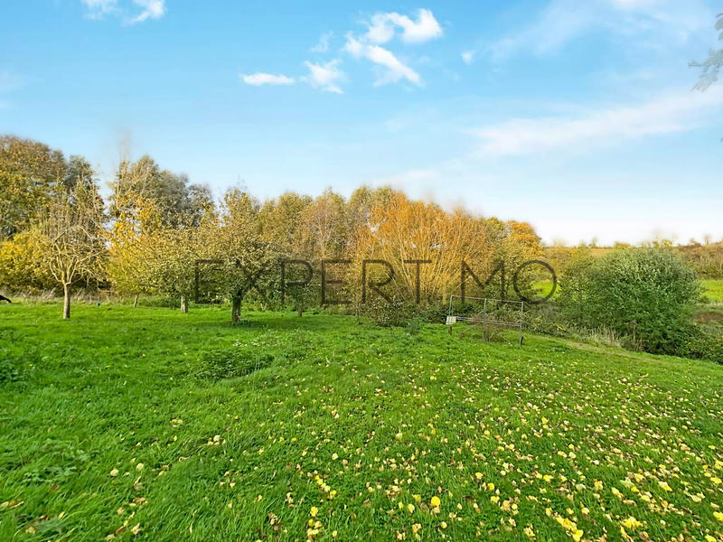 Maison - 230 m² - 9 pièces