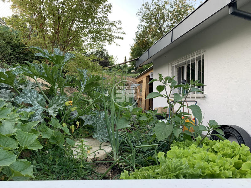 Maison - 240 m² - 5 pièces