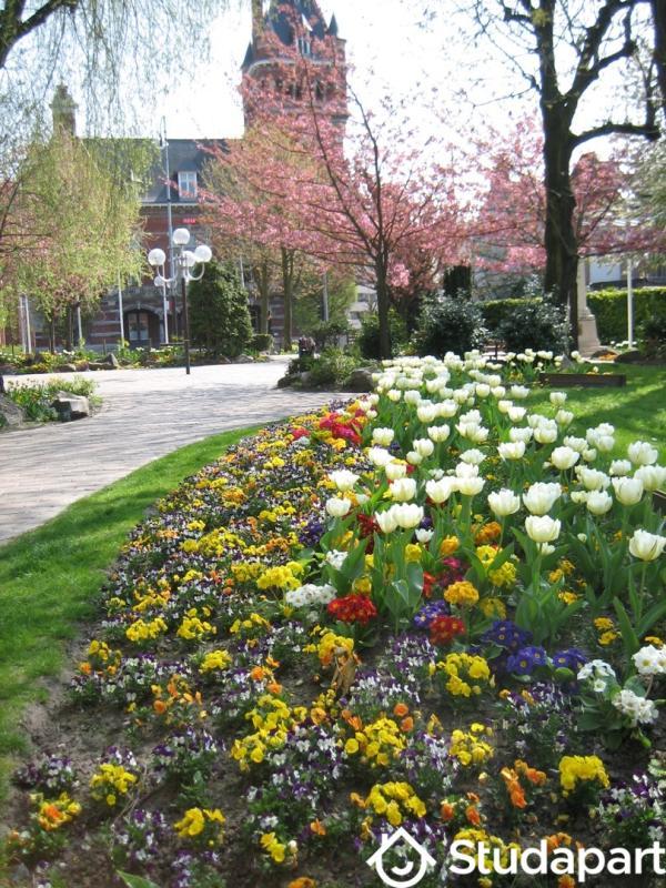 Chambre - 11 m² - 1 pièce