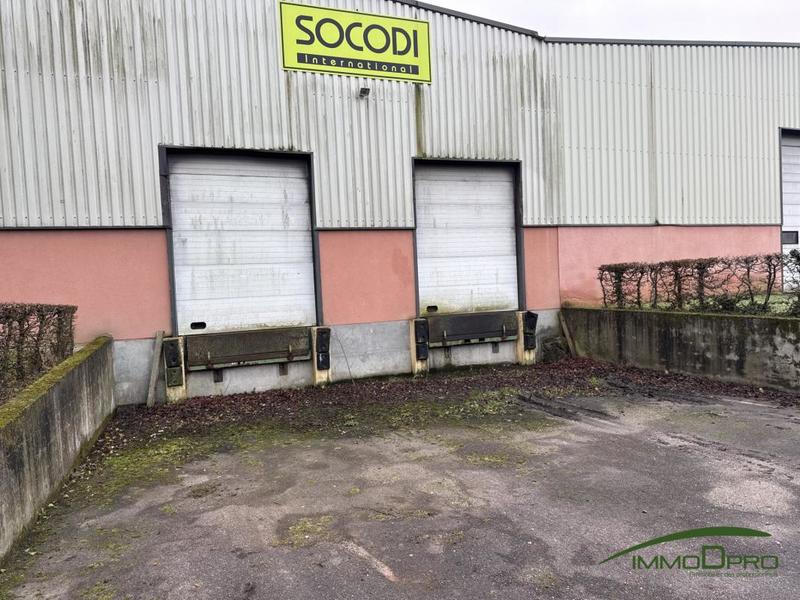 Entrepôt - 747 m²