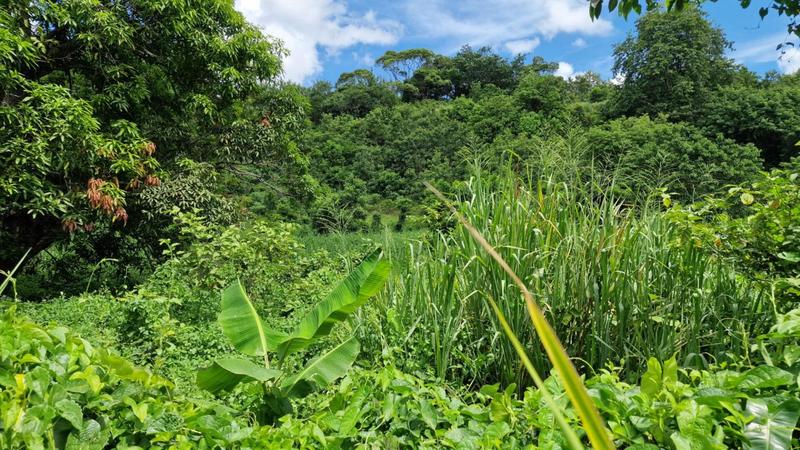 Terrain constructible - 697 m²