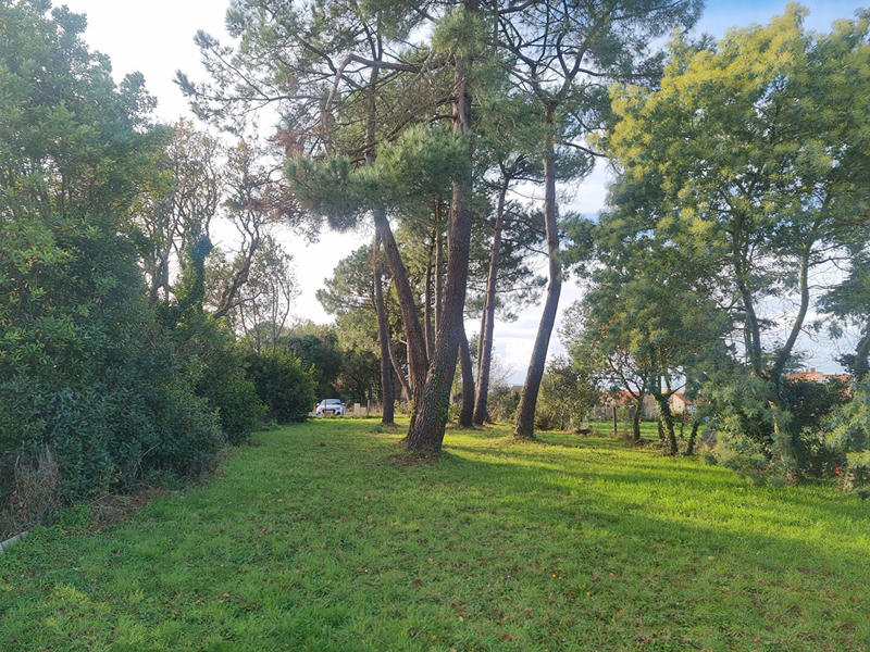 Terrain - 594 m²