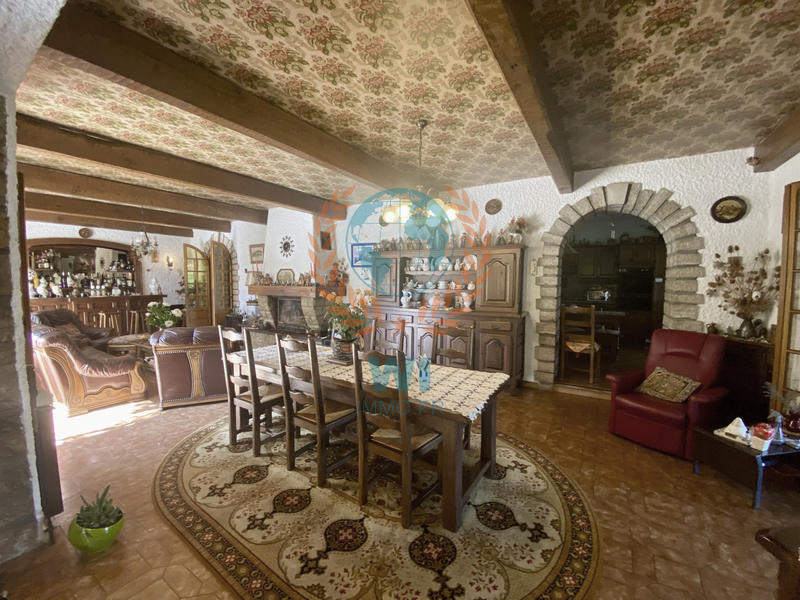 Maison - 420 m² - 17 pièces