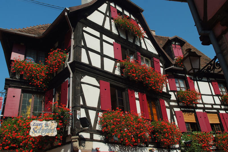 Secrets de construction des maisons alsaciennes Réf 02