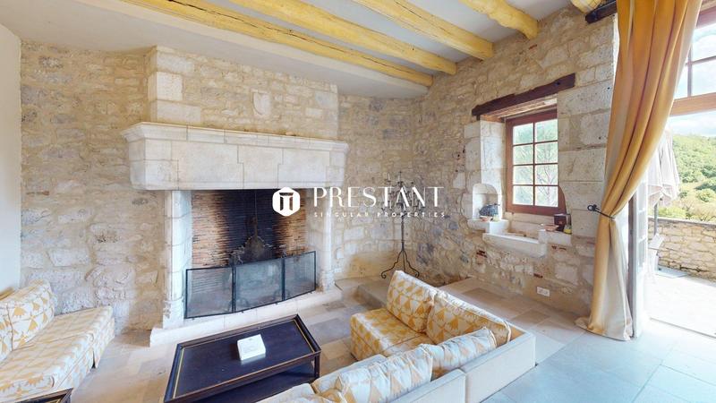 Château - 422 m² - 9 pièces