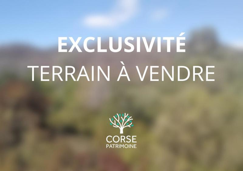 Terrain - 10 976 m²