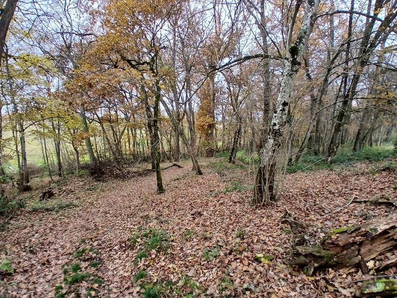 Maison de maîtres - 446 m² - 16 pièces