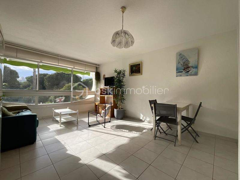 Studio - 24 m² - 1 pièce