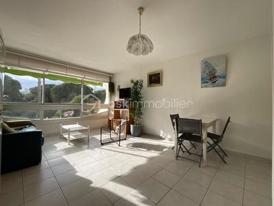 Studio - 24 m² - 1 pièce