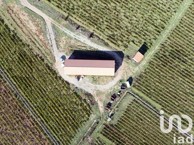 Terrain agricole - 93 829 m²