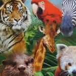 Cerza Parc Zoologique