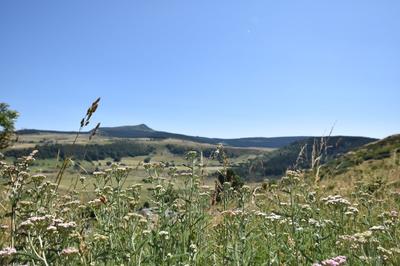 Maison en pierre - 350 m² - 3 pièces