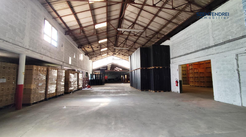 Entrepôt - 5 119 m²