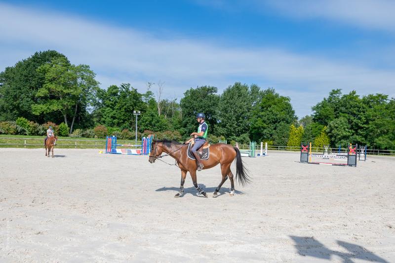 Maison de domaine équestre - 360 m² - 10 pièces