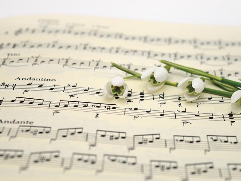 Concert - 2 chorales