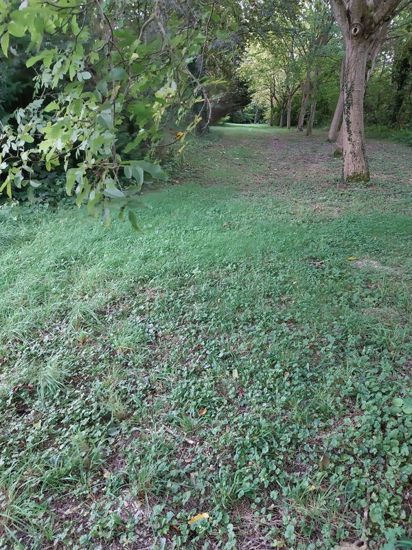 Propriété - 341 m² - 10 pièces