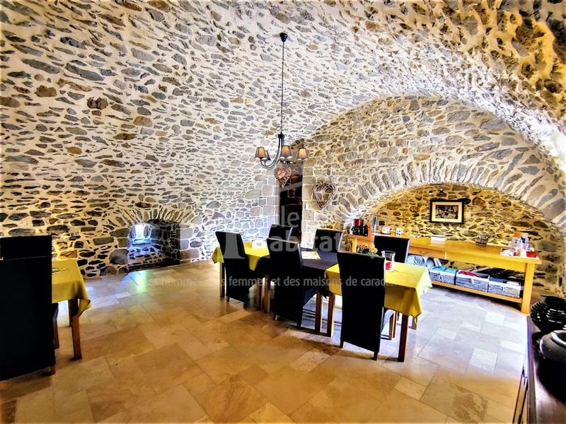 Château - 450 m² - 12 pièces