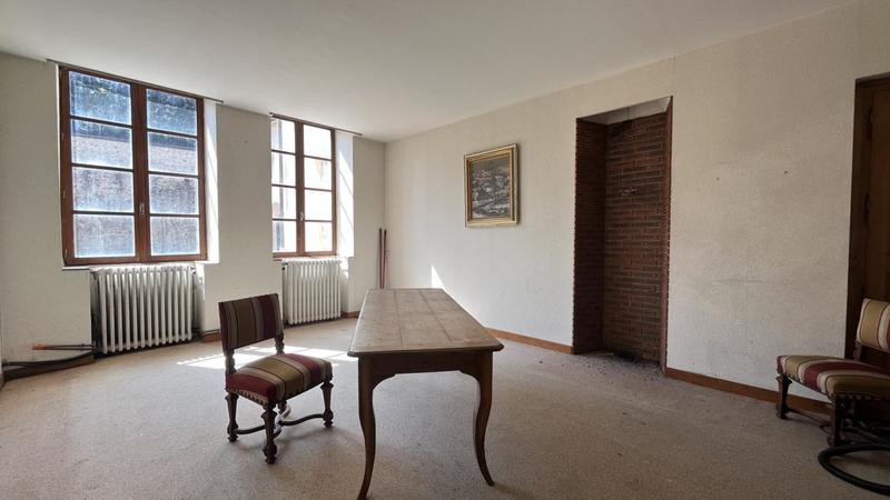 Hôtel particulier - 390 m² - 10 pièces