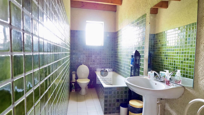 Maison - 451 m² - 11 pièces