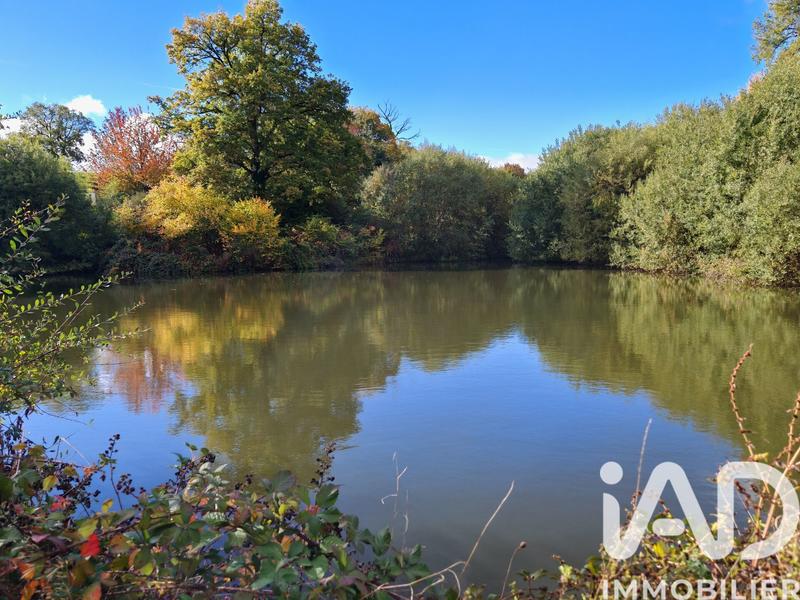 Terrain - 113 246 m²