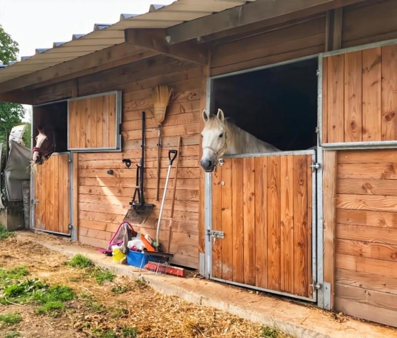 Maison de domaine équestre - 220 m² - 8 pièces