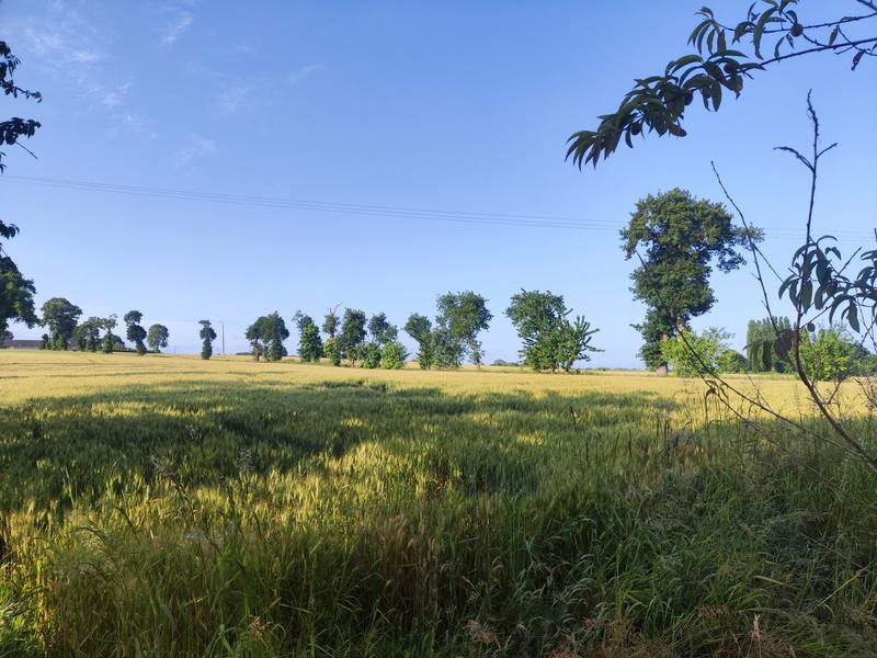 Maison ancienne - 92 m² - 3 pièces