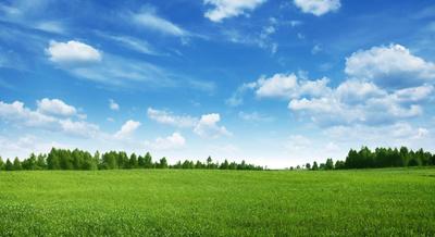 Terrain constructible - 350 m²