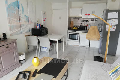 Appartement - 35 m² - 2 pièces