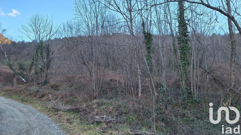 Terrain - 50 940 m²