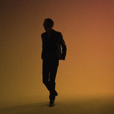 Concert Alain Chamfort