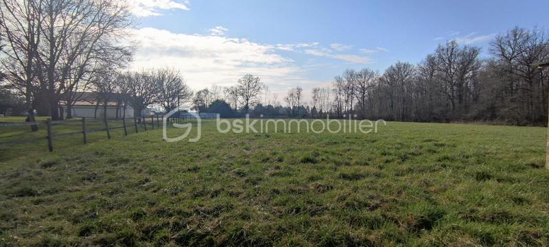 Propriété - 179 m² - 5 pièces