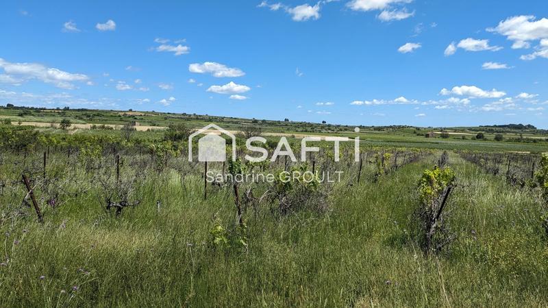 Terrain agricole - 12 865 m²