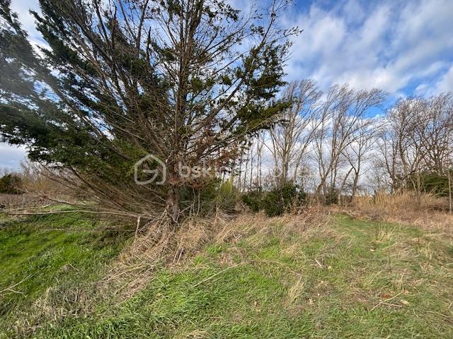 Terrain de loisirs - 3 066 m²