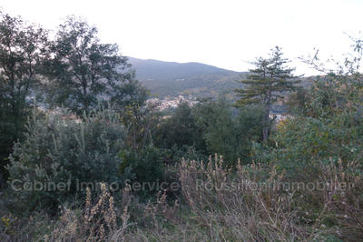 Terrain - 445 m²