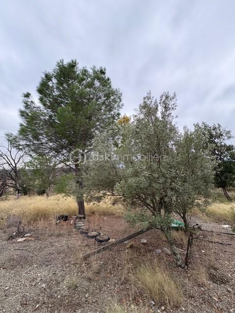 Terrain agricole - 1 590 m²