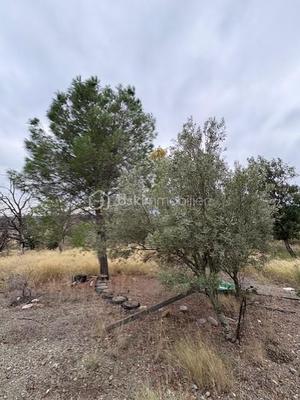 Terrain agricole - 1 590 m²